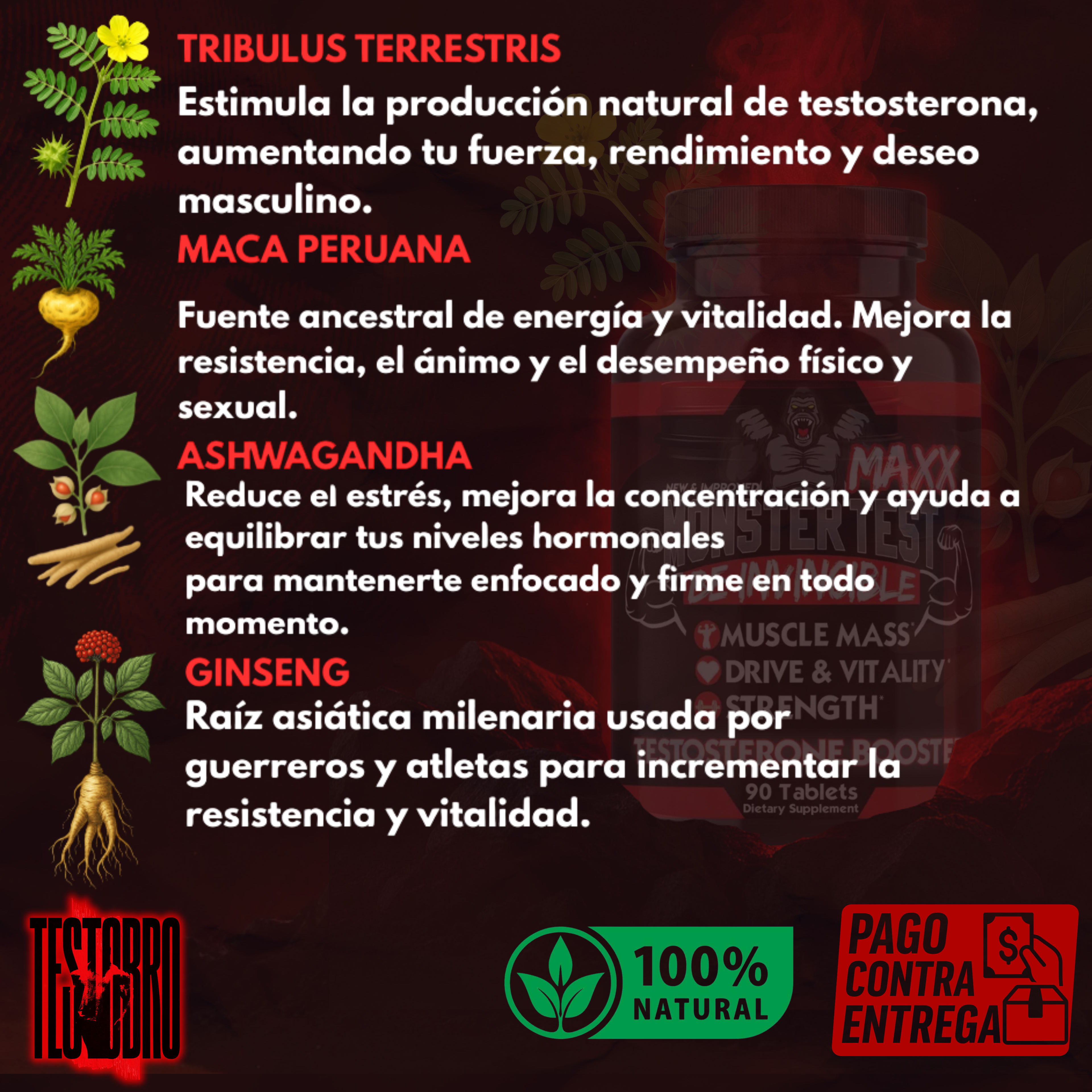 MONSTER TEST BASICO BLANCO potenciador de testosterona